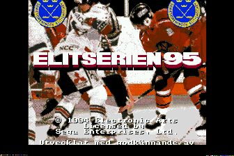 曲棍球赛季95(SW)